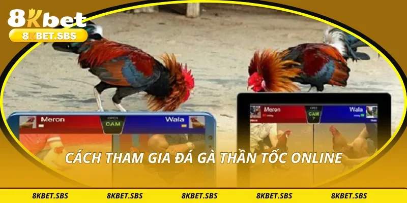 Cách tham gia đá gà thần tốc online