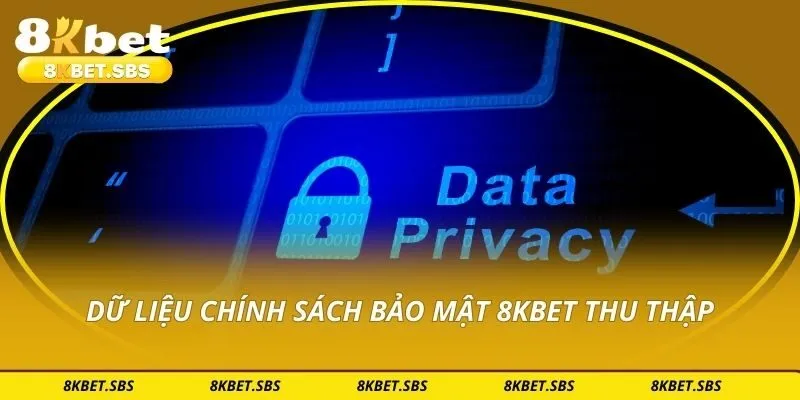 Dữ liệu chính sách bảo mật 8KBET thu thập
