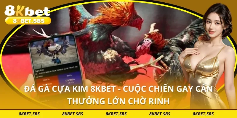 Đá Gà Cựa Kim 8KBET - Cuộc Chiến Gay Cấn Thưởng Lớn Chờ Rinh