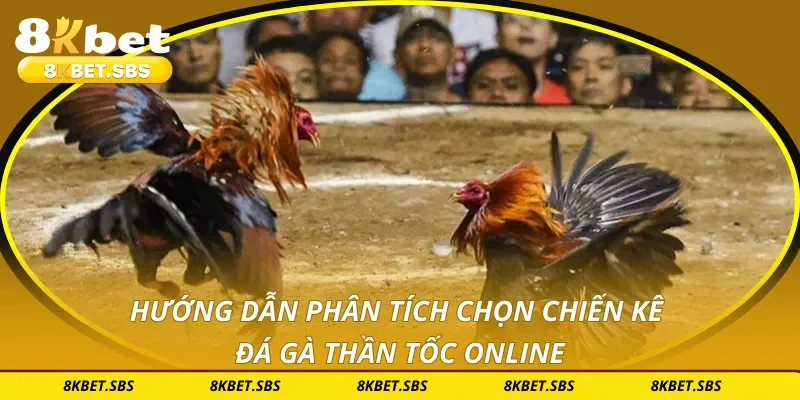Hướng dẫn phân tích chọn chiến kê đá gà thần tốc online
